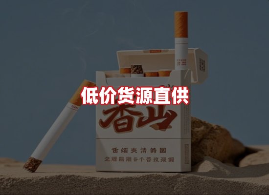 专业团队